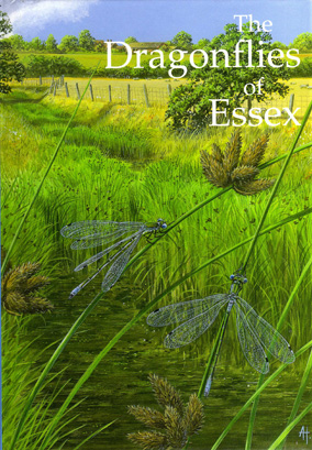 The Moths of Essex: cover illustration by Brian Goodey